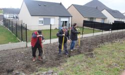 Plantations Cavalier   028